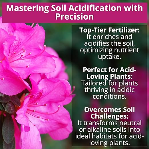 GARDENWISE 8-4-8 Acidic Fertilizer for Azaleas, Camellias (Camelia), Hydrangeas, Blueberries, Gardenias, Magnolia Trees, Evergreens, and Rhododendrons - Ideal Iron-Rich Plant Food (4 QUARTS)