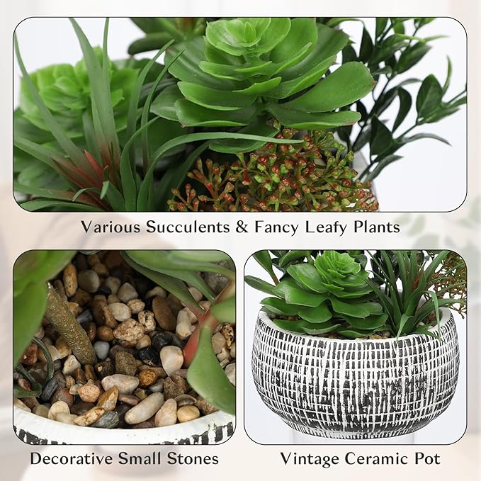 Villa Como 10” Large Succulents Plants Artificial in Ceramic Pots Potted Faux Succulent Arrangement with Black Bowl Pots Fake Desk Succulents Plants for Home Bathroom Shelf Table Indoor Decor