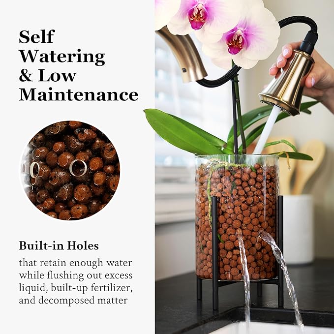 Pot & Pebble - C8 Glass Planter with Decorative Metal Base - Plant Propagation Station with Water Level Control - Plant Cutting Holder for LECA Clay Pebbles/Similar Media - Semi Hydroponic Planter