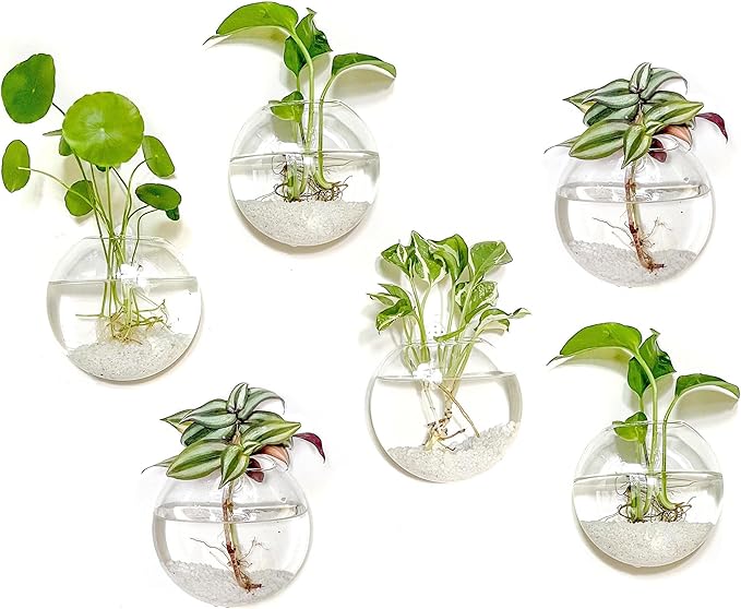 Kingbuy Wall Hanging Glass Planter Propagation Station - 6 Pack Oblate Globe Wall-Mounted Vases for Indoor Hydroponic Air Plants Bathroom Living Room Office Decor Gift for Women, Mom, Plants Lovers