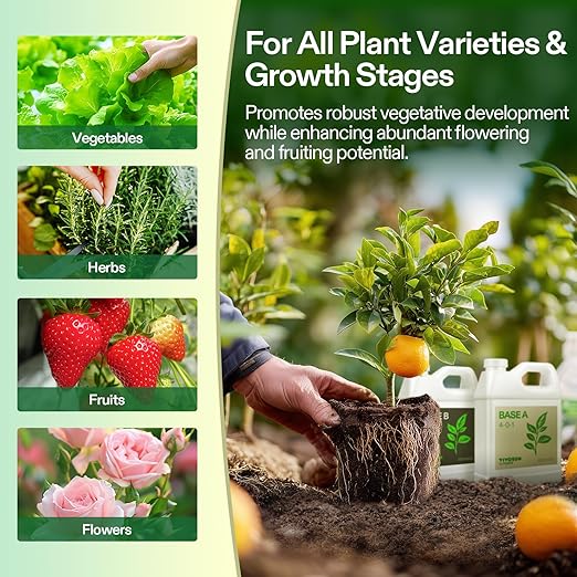 VIVOSUN Liquid Nutrients Base A & B Bundle, Grow Big Hydroponic Fertilizer, Supports Vegetative and Flowering Stages for Outdoor, Indoor Plants, Best Plant Food, Set of Quarts (Pack of 2)
