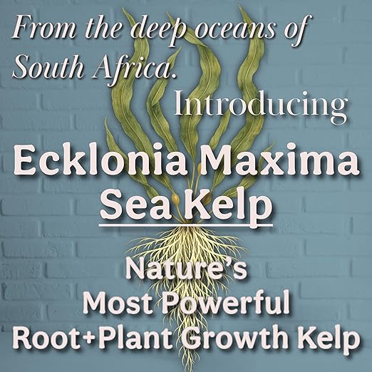 Organic Liquid Kelp & Seaweed Extract Prop Drop (Ecklonia Maxima) – Root + Plant Growth Hormone & Root Plant Food for Water Propagation, Hydroponics & Soil – 16oz 120 Gallons