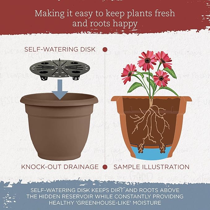 Bloem 10 Inch Ariana Planter with Self-Watering Grid, Chocolate