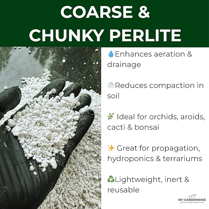 GARDENWISE Perlite for Plants, Coarse and Chunky Horticultural Perlite, Organic Perlite for Gardening Indoor & Outdoor, Perlite Bulk Bag, Made in USA (20 quarts)