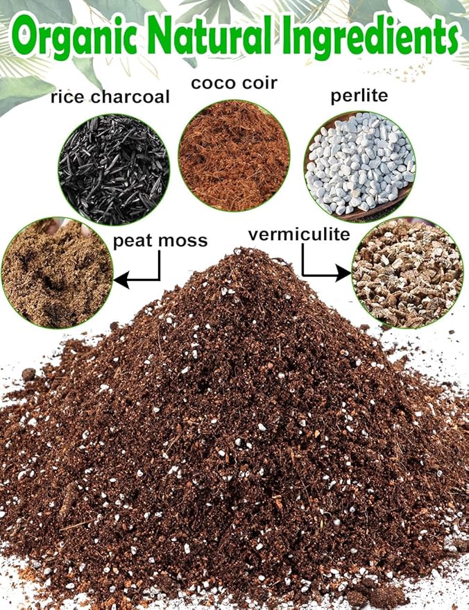 TOYPOPOR Potting Soil for All Indoor Houseplants, (3qt) Contains Perlite, Peat Moss, Coco Coir and Rice Charcoal, Well Draining Potting Mix Light, Aerated Texture for Healthy Plant Roots, Fast Growth