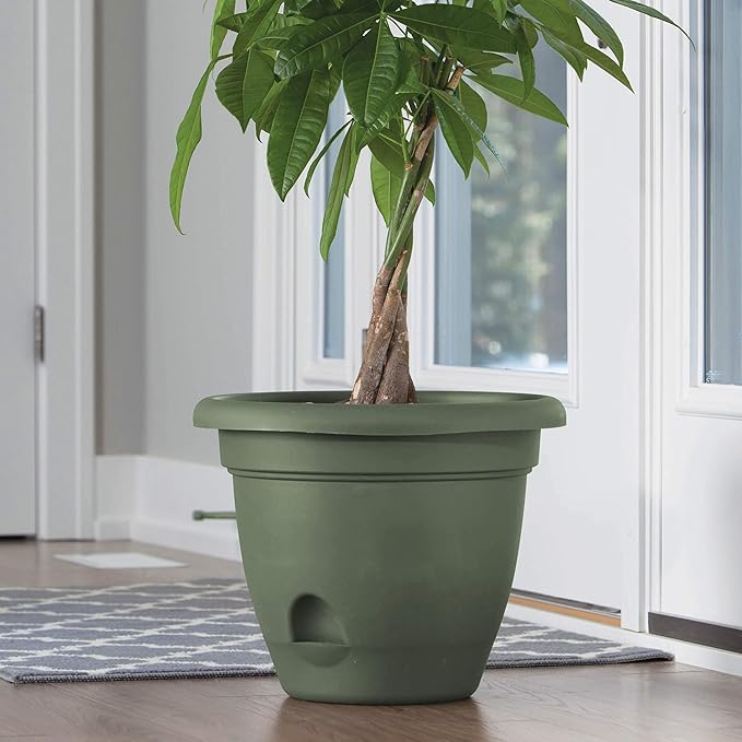 Bloem 010034 LP0842 Lucca Planter, Living Green, 8-Inch, 8"