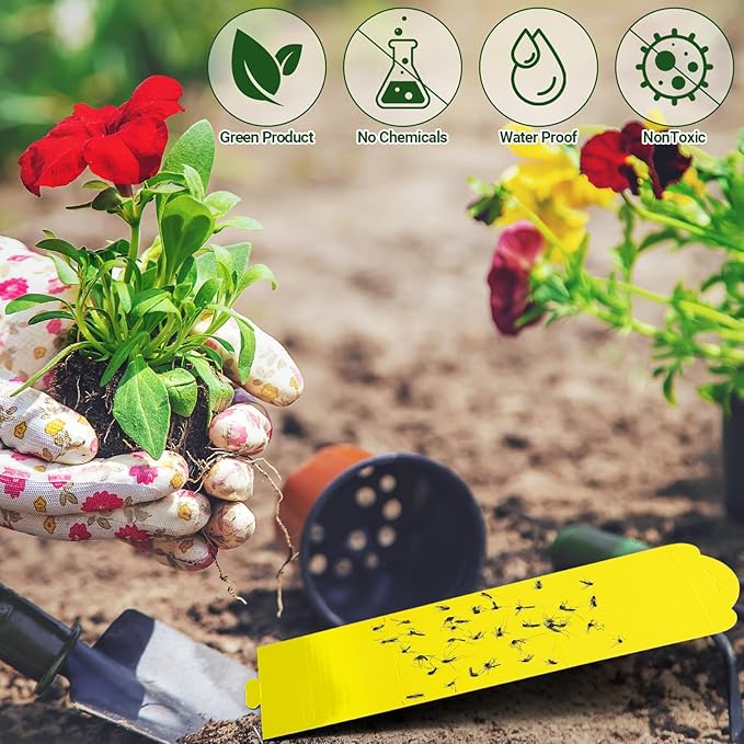 Qualirey 20 Pcs Yellow Sticky Traps for Indoor and Outdoor, Fruit Fly Sticky Gnat Strips Hanging Foldable Traps 4.2 x 11.2 Inch for Fruit Insect Fungus Bugs