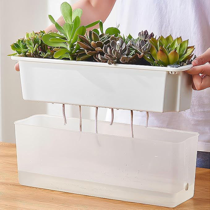 FAMZ Self Watering Pots for Indoor Plants 3 Pack Transparent Rectangular Planter, Vegetable Planters for Windowsill Patio Garden Balcony Home Porch Yard Indoor Outdoor, White