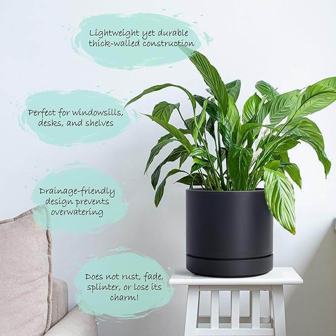 Phoenix Vine 6 Inch Planter Pot with Drainage Hole & Saucer, Deep Water Catch Tray, Straight Cylindrical Round Pot for Plants, Matte Black, Pack of 2, 23-C-S-2