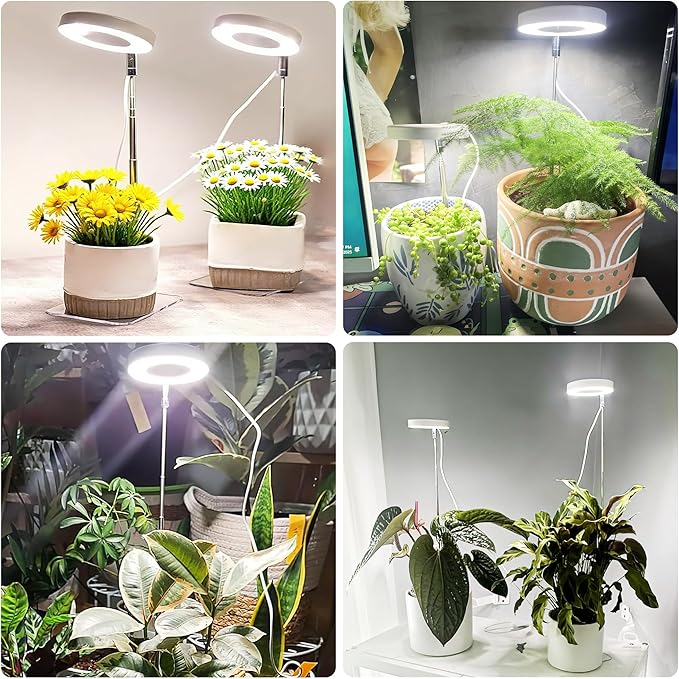 3.54" White Grow Light, Full Spectrum Plant Lights for Indoor Growing with 3/9/12H Timer, 3 Color Modes, 10 Brightness, 6.6"-24.8" Height Adjustable，Small Halo Grow Light with Base, 2 Pack