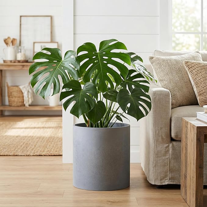 FaithLand 12 Inch Fiberstone Planter - Lightweight Modern Cylinder Plant Pot with Drainage Hole & Plug, Authentic Concrete Look, Gray