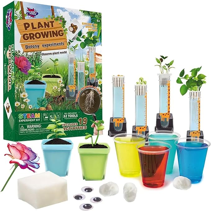 Plant Science Kit for Kids Ages 8-12 | STEM Educational Gift with 19 Experiments | Grow Real Plants from Kitchen Seeds | DIY Biology Set for Boys & Girls Birthday Christmas