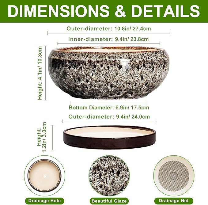 Succulent Pots 10 Inch - Ceramic Bonsai Pots with Drainage Hole and Tray, Large Succulent Planters, Shallow Planter Indoor, Round Planter Bowl, Window Decor, Gifts for Plant Lovers, White