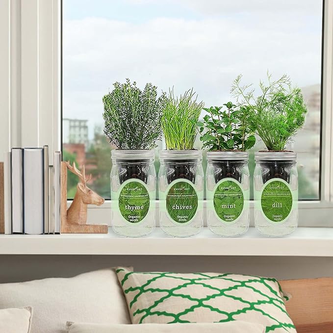Hydroponic Herb Growing Kit Set, Self-Watering Mason Jar Herb Garden Starter Kit Indoor, New Christmas Gift for Mom (Mint,Thyme,Chives&Dill)