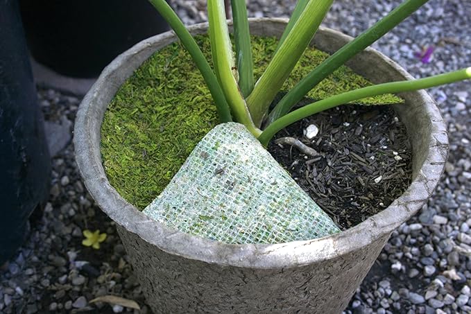 SuperMoss Topper Preserved Green Mountain Moss with Mesh Backing | Indoor Plant Cover for Flowerpots, Orchid Pots, Succulent Soil, Terrariums, and Craft Décor, 3 Count
