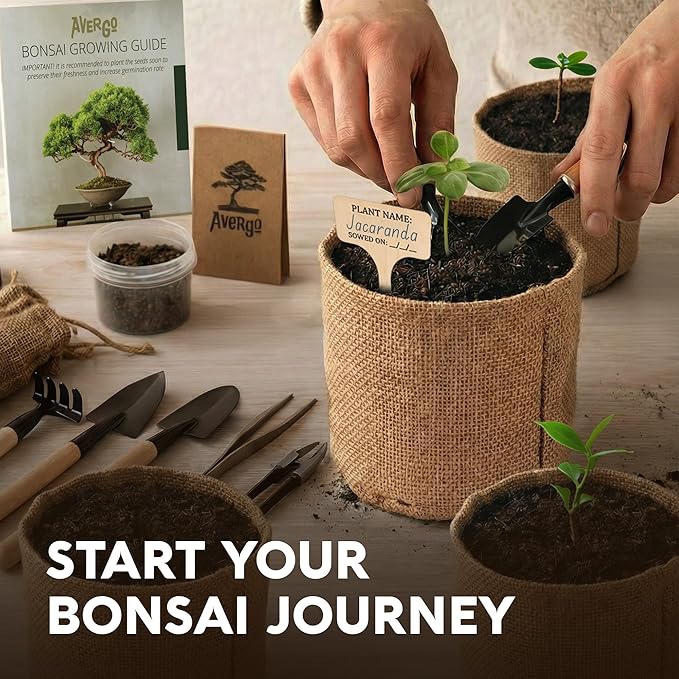 Bonsai Tree Kit for Beginners – 5X Unique Japanese Bonzai Trees, Complete Indoor Bonsai Starter Kit for Growing Bonsai Plants w/Tools & Planters – DIY Christmas Gardening Gifts for Mom