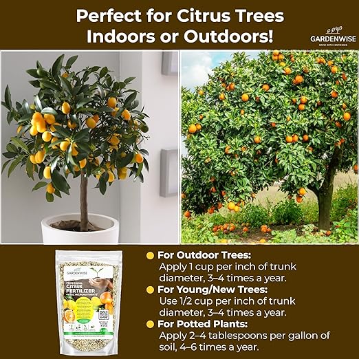 GARDENWISE Professional Citrus Fertilizer + Vital Micronutrients; Perfect Balanced NPK for All Citrus; for Indoor and Outdoor Plants; Orange, Lime, Avocado and Lemon Tree Fertilizer (4 QUARTS)