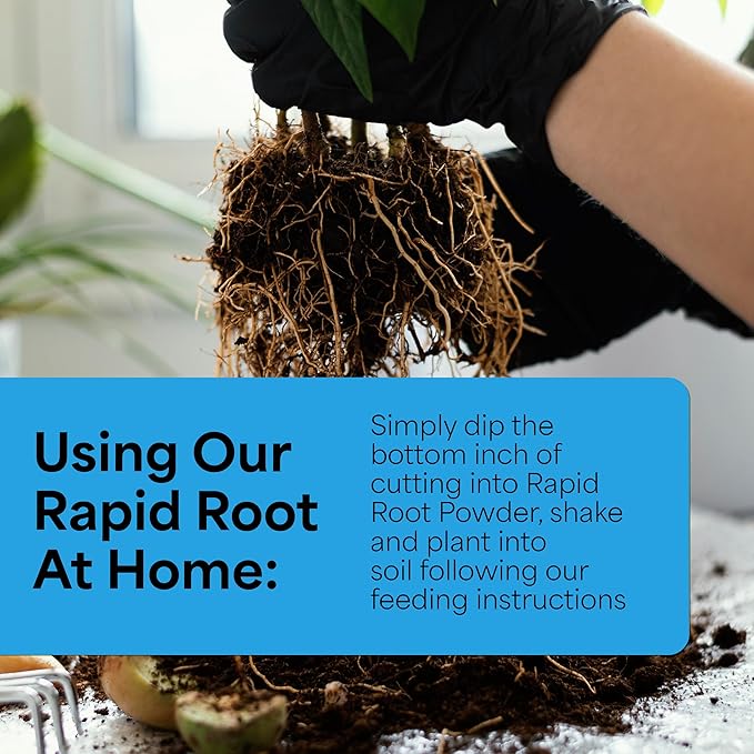 Grow More Rapid Root Powder for Plants (0.3% IBA) - 2oz of Rooting Hormone for Cuttings to Stimulate & Enhance Root Growth - One-Dip Treatment Rooting Powder for Plant Cuttings - Rapid Rooter
