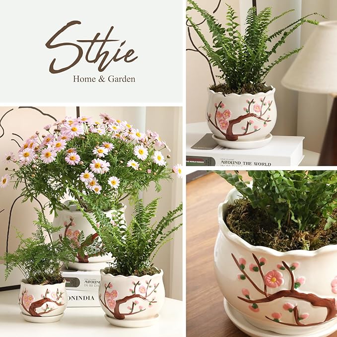 STHIE Ceramic Plant Pots with Drainage Holes and Saucers, Round Flower Pots for Indoor Plant, 4/5.2/6.6 Inches Small Flower Planters Set of 3