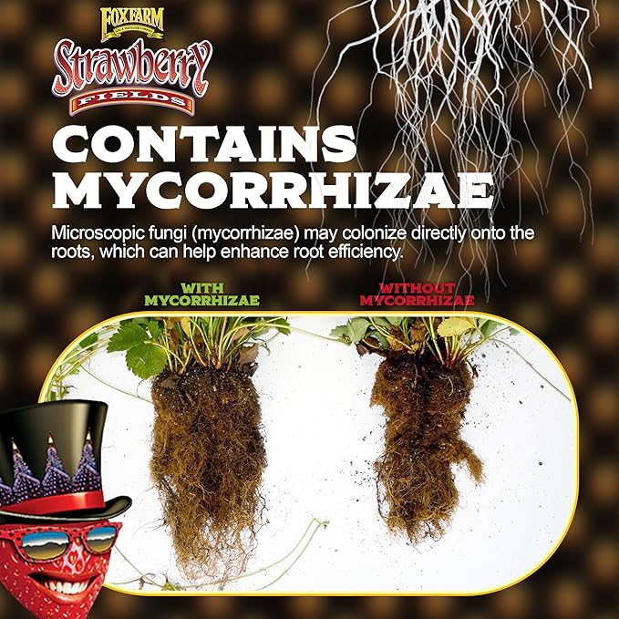 FoxFarm Strawberry Fields Fruiting & Flowering Potting Soil, 1.5 Cu.ft (Pack of 2) - Designed to Pump Up Your Blooms, Fruits, and Berries - Made for the Fruiting and Flowering Stages of Plants