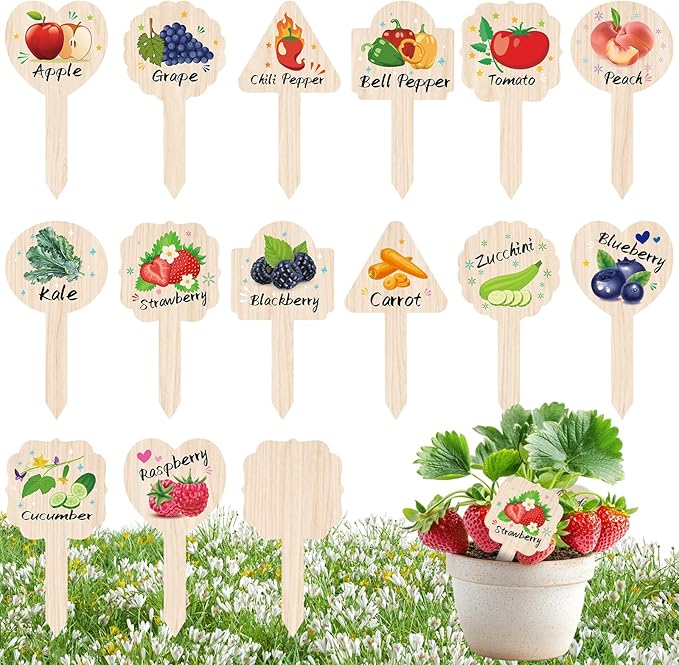 JUYRLE Vegetable Plant Label - 15PACK Garden Markers, Fruit Plant Labels for Outdoor Garden Waterproof, Plant Tags with Names, Indoor Patio Tags for Succulent Flowers Greenery Seedling