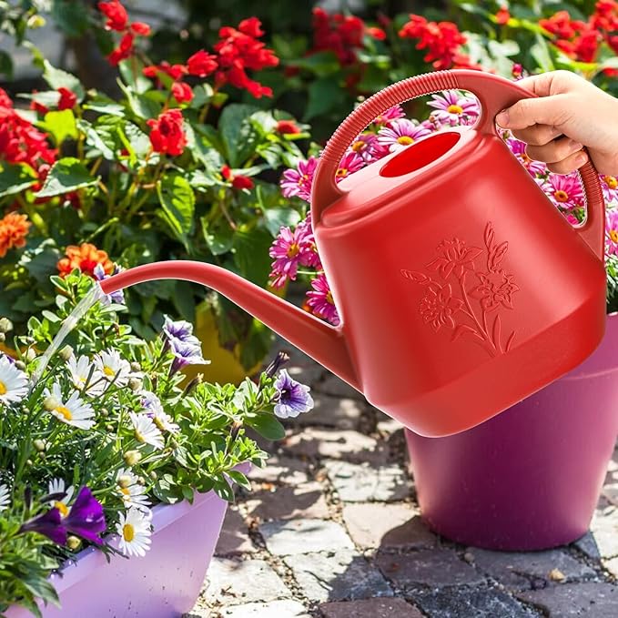 Fasmov 1-Gallon Plastic Watering Can with Comfortable Handle, Garden Watering Cans Long Spout for Indoor Outdoor Watering Plants, Burnt Red