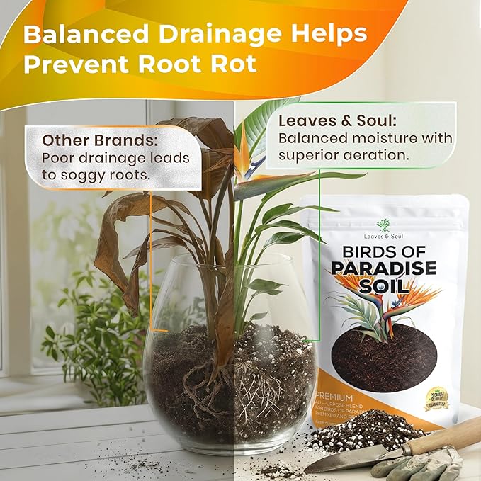 Professional Birds of Paradise Soil | Premium All Purpose Blend | Extra Large 8.2 Quarts | Ready to Use for Indoor Plants | Peat Moss, Coco Coir, Perlite, Dolomite