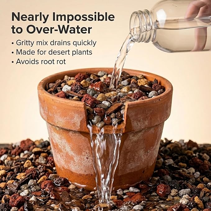 Molly's Succulent Mix - Premium Gritty Soilless Potting Mix for Succulents, Cactus and Bonsai - Contains Akadama, Hyuga, Bark Fines, Pumice, Lava Rock, Mycorrhizae 5 Dry Quarts
