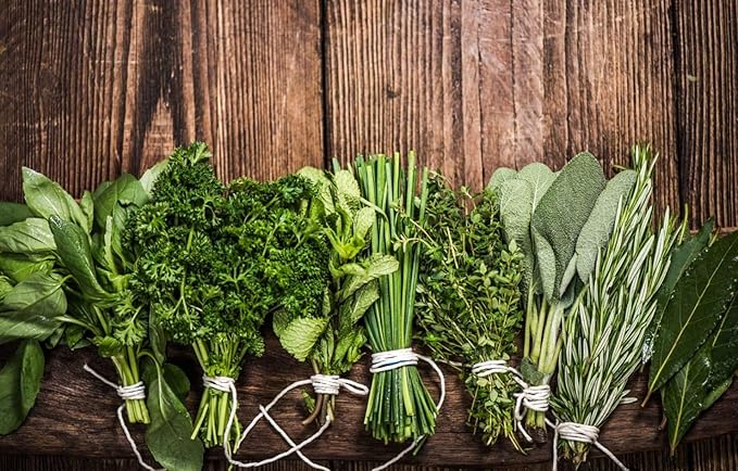 Herb Garden Kit | Chef 5 Pack | Parsley, Oregano, Cilantro, Dill, and Thyme | 5 Plant Markers | Herb Garden Seeds for Planting. Indoor Herb Garden,Good Outdoor Herbs
