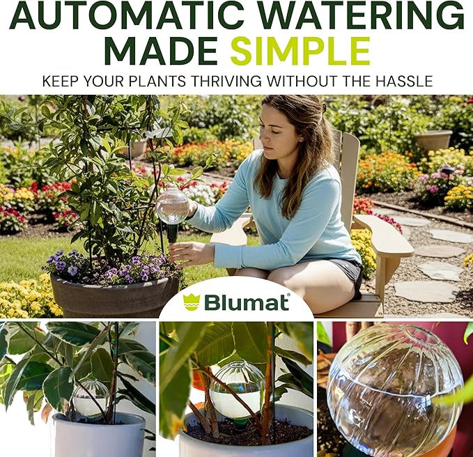 Blumat Glass Plant Self Watering Globes,Automatic Houseplant Drip Irrigation for Indoor Plants, Hanging Plants, Houseplants, Plant Garden Accessories,Vacation Plant Savers,Large Globe Small Adapter