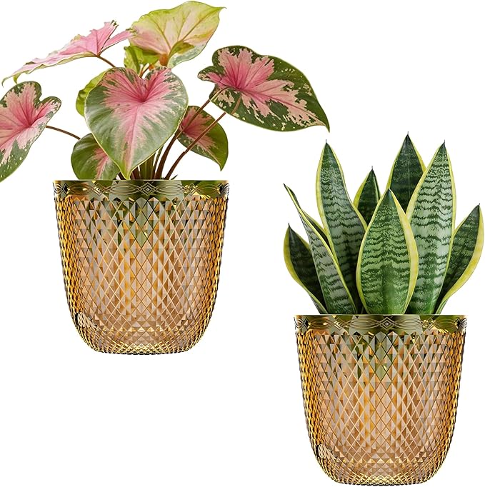 QCQHDU 2 Pack Self Watering Pots, 7.2 Inch Flower Pots with Drainage Holes and Water Filling Port, Garden Planter for Indoor Outdoor Plants (Gold)