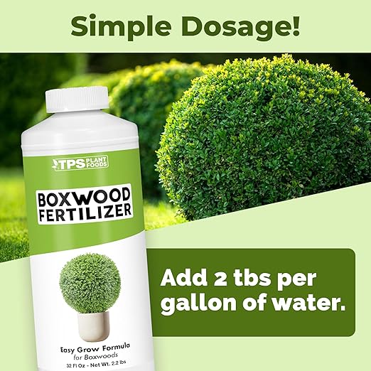 Boxwood Fertilizer – Liquid Plant Food for Dense Growth, Rich Green Foliage, & Stronger Roots, 32 oz