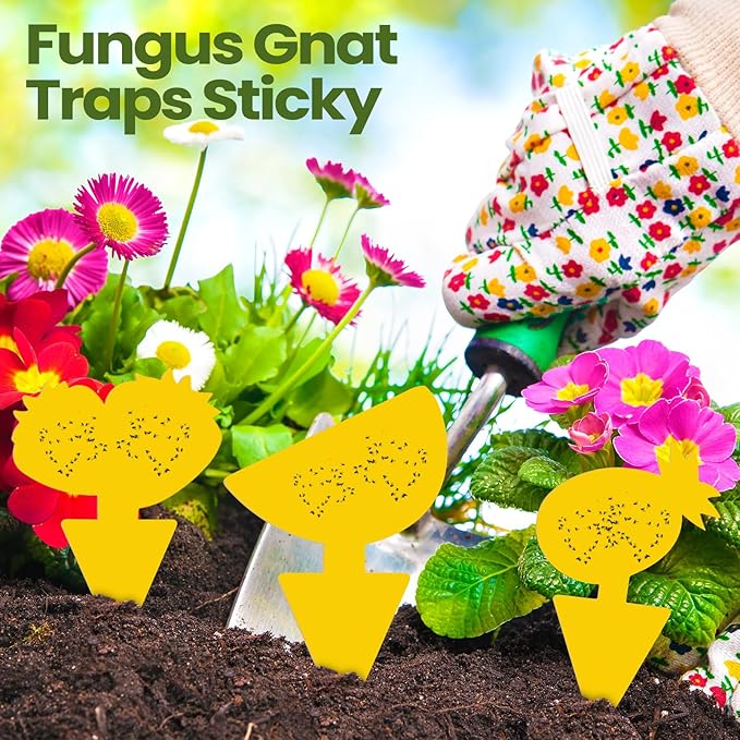 Qualirey 200 Sheets Fruit Fly Sticky Traps for Fruit Fly Gnat Trap for House Indoors Sticky Traps Catcher for Gnats Fungus Gnats Mosquito Catcher for Kitchen Outdoor Plants (Fresh Style, Yellow)