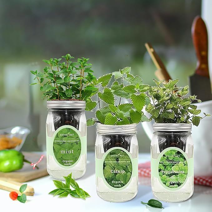 Hydroponic Herb Growing Kit Set, Self-Watering Mason Jar Herb Garden Starter Kit Indoor, New Christmas Gift for Mom (Mint, Peppermint & Catnip)