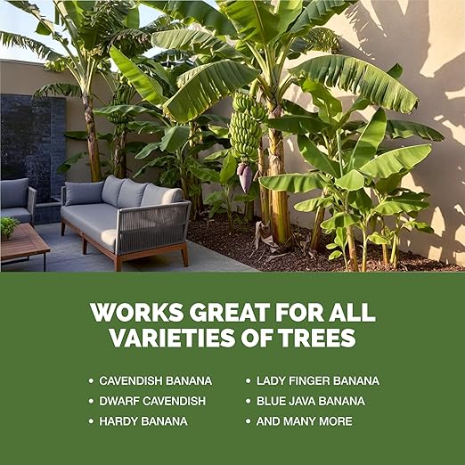 Banana Tree Fertilizer – Liquid Fertilizer for All Banana Tree Varieties, Supports Growth & Fruiting, 32 oz
