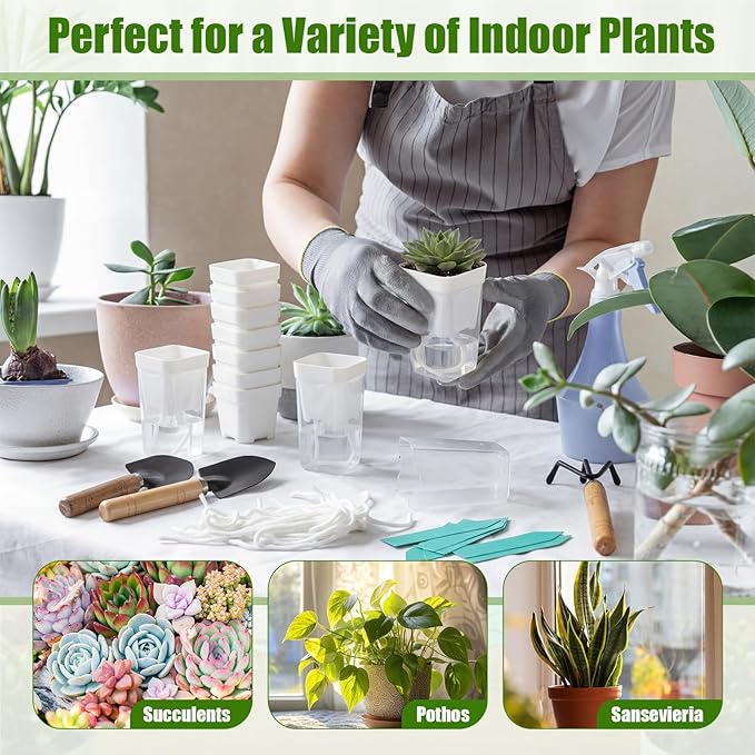 30 Pack 2" Small Self Watering Pots for Indoor Plants Clear Mini Self Watering Plant Pot with Water Level, Drainage Holes 30 Plastic Label 3 Planting Tools, Rope for Propagation Succulents