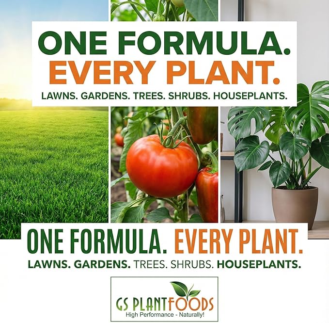 GS Plant Foods Liquid Kelp Fertilizer – Suitable for Organic Growing, OMRI Listed Seaweed Concentrate for Lawns, Gardens & Soil - 5 Gallons (2 x 2.5 Gallon containers)