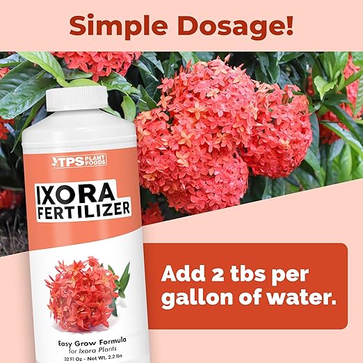 Ixora Fertilizer – Liquid Plant Food for More Blooms, Rich Green Leaves & Stronger Root Development, 32 oz