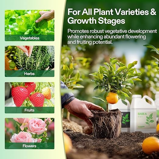 VIVOSUN Liquid Nutrients Base A & B Bundle, Grow Big Hydroponic Fertilizer, Supports Vegetative and Flowering Stages for Outdoor, Indoor Plants, Best Plant Food, Set of 1 Gallon (Pack of 2)