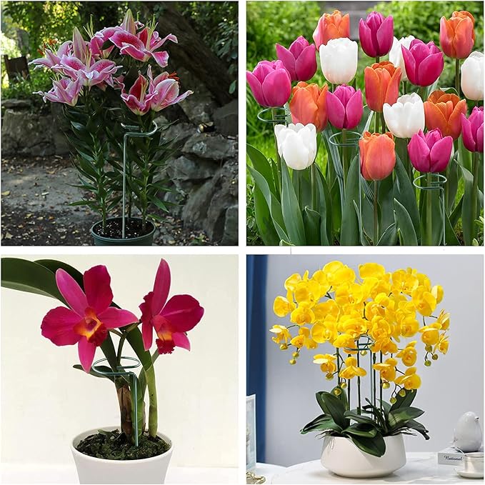 Joyhalo 6 Pack Plant Stakes and Supports, 16 Inch Flower Stakes and Support for Garden Outdoor Plant, Phalaenopsis, Paperwhites, Oriental Lilies, Zinnias, Orchids, Delilah, Lily, Rose, Bean Plants.