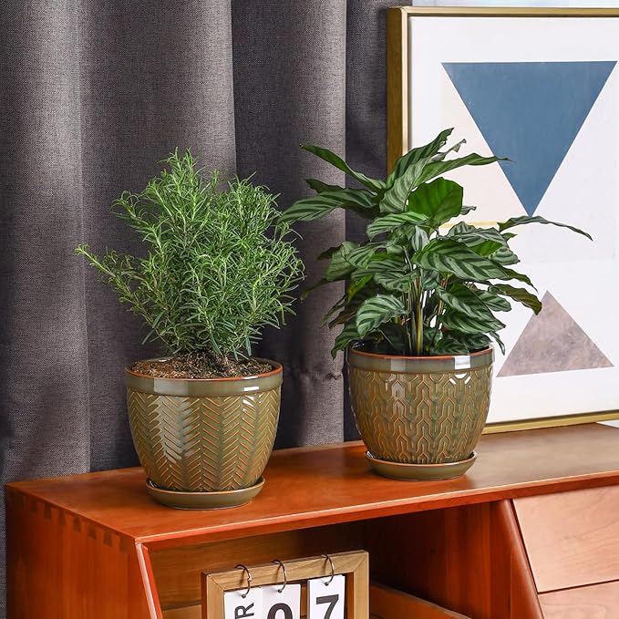 Sureasy 6.5 Inch Ceramic Plant Pots, Embossed Decorative Planters with Drainage Hole and Saucer, Modern Flower Pots for Indoor Plants, Set of 2, Green