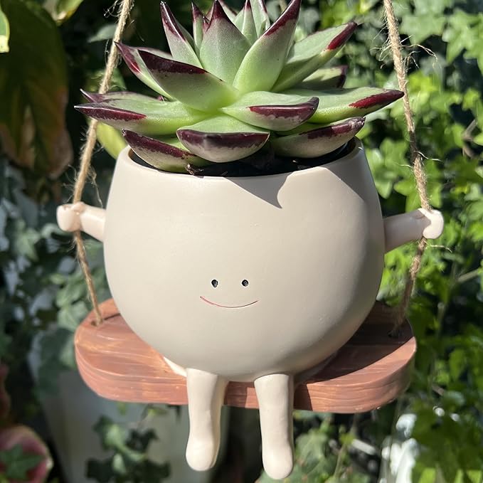 TEARS OF GAIA Hanging Planters for Indoor Plants, Smiley Face Planter Pot Cute Resin Flower Head Planters with Drainage, for Mom, Funny Succulent Plant Lover Gift for Plant Lovers (Big Swing)