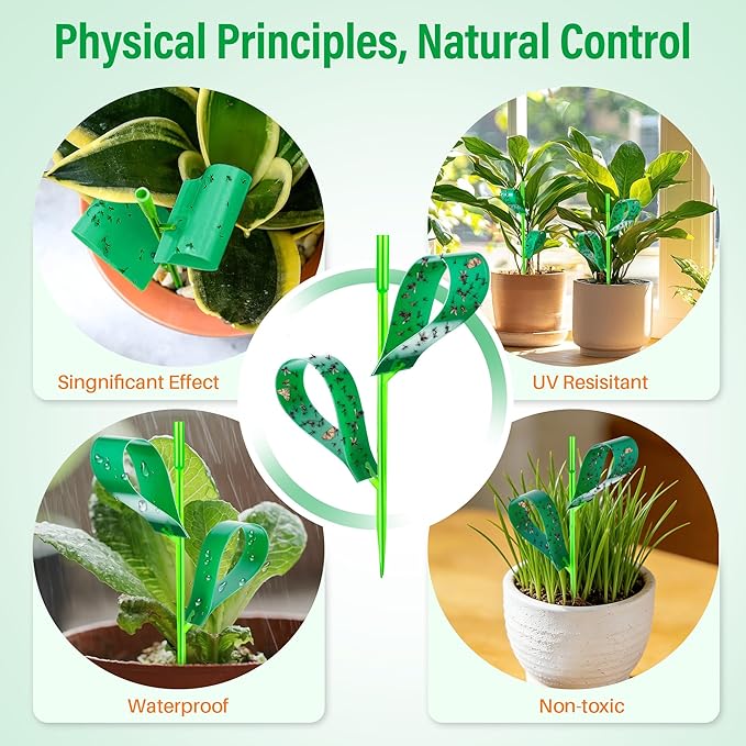 100 Pcs Gnat Sticky Traps for Plants, Sticky Traps for Gnats with 20 Stakes to Control, Aphids, Plant Bug, Mosquito Bits and Whiteflies(Green)