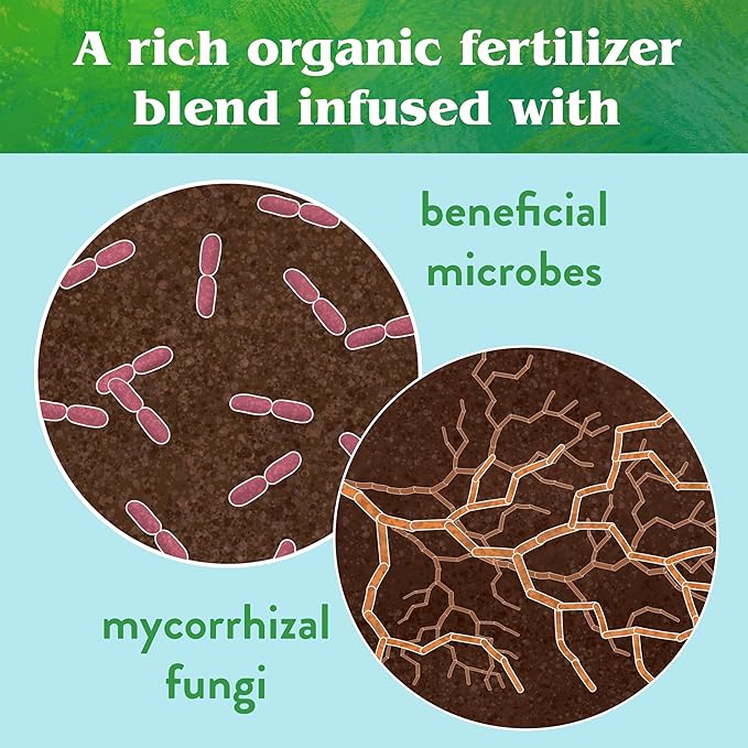 Down To Earth All Natural Fertilizers Organic Bio-Live Starter & Transplant Mix with Mycorrhizal Fungi and Benefical Microbes for Plant Food 5-4-2, 25 lb