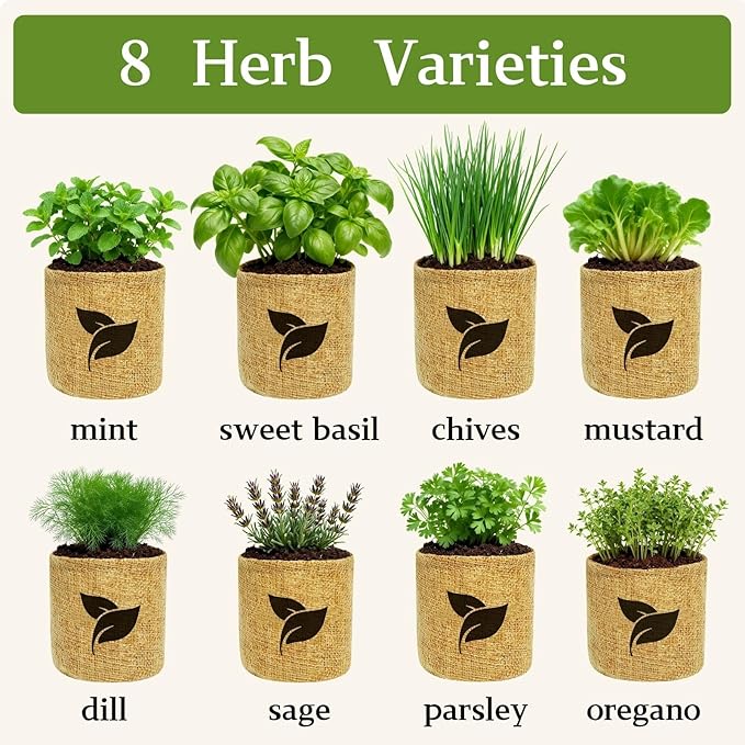 Indoor Herb Garden Start Kit - Unique Gifts for Women, Mothers Day Gifts, Easy House Plant- Birthday for Women,House Warming Gift New Home- Fresh Herb Garden DIY Crafts for Adults