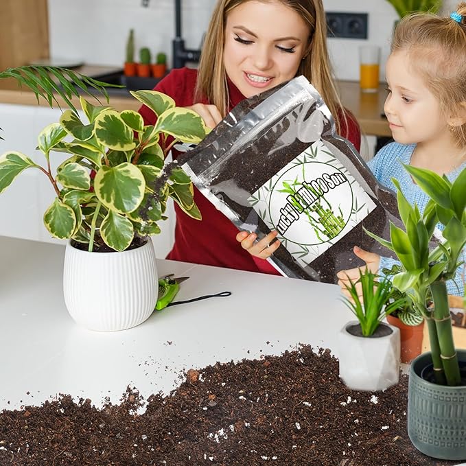 Doter Premium Lucky Bamboo Soil Mix 10qt, Indoor Plants Potting Mix for All Potted Luncky Bamboo, Promote Healthy Growth and Longevity