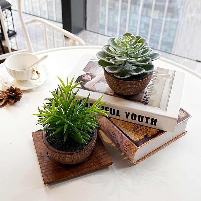 Artificial Plants Indoor with Pot, 2 Pack Fake Plants Indoor, Faux Succulents for Desk, Faux Greenery in Modern Farmhouse Decor, Home Decor Bathroom Bedroom Decor Aesthetic Coworker Gift