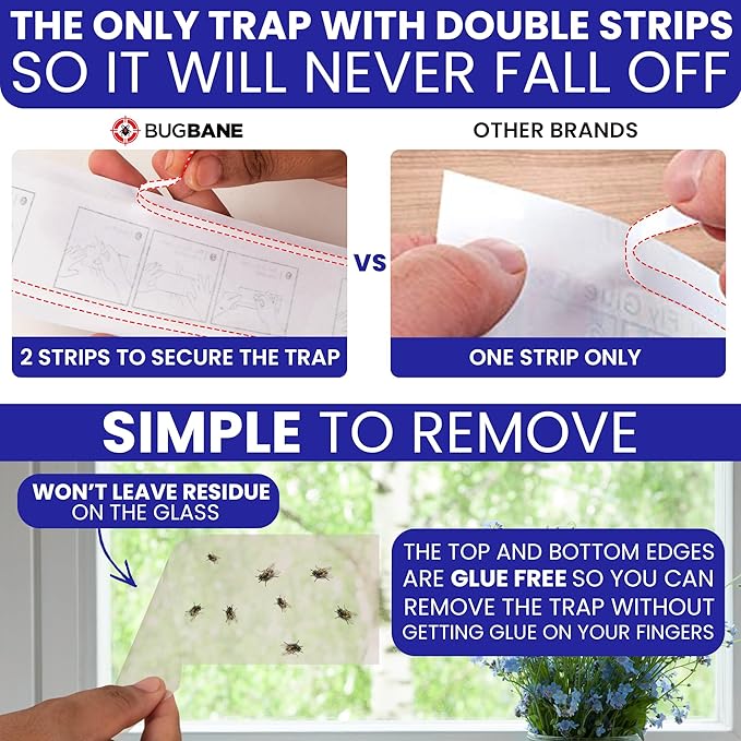 100 Window Fly Traps Sticky Non-Toxic Clear Fly Paper Indoor for Home. No Mess Flies Window Sticky Traps Bug Flies Strips Indoors. Fruit and Housefly Trap Indoor Flypaper Tape Gnat Catcher Killer.