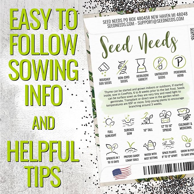 Seed Needs Thyme & Oregano Seeds for Planting Fresh Kitchen Herbs - Non-GMO Heirloom & Untreated Perennial Herb Seed to Plant a Culinary Garden Indoors or Outdoors (2 Pack Duo)