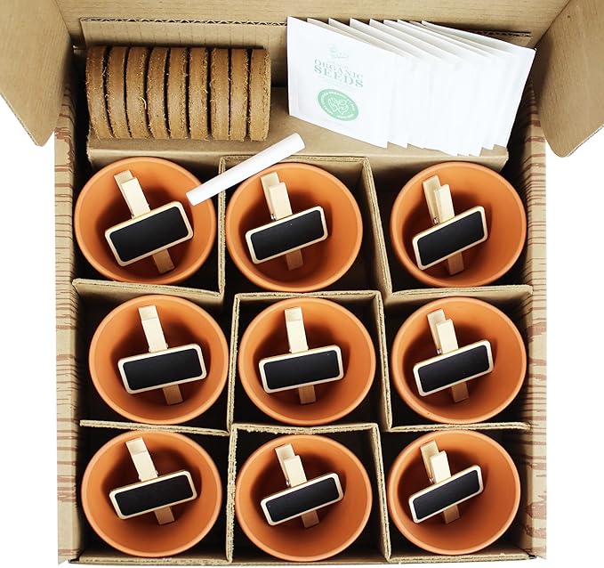 Buzzy Organic Herb Starter Kit – 9 Terracotta Pots, Organic Seeds & Soil Pellets – Indoor Herb Garden Kit with Plant Markers, Chalk & Instructions – Grow Fresh Basil, Parsley, Cilantro & More
